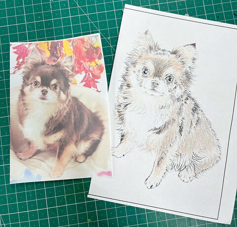 「ゆめかなタイム」で“天才”磨き！✨✨